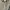 Abercrombie & Fitch Casual Sweater Pria gray photo 2