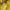 Russell Athletic Vintage Y2K Hoody Pria yellow photo 4