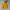 Russell Athletic Vintage Y2K Hoody Pria yellow photo 1