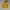 Russell Athletic Vintage Y2K Hoody Pria yellow photo 3