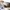 Puma Sportswear Casual Sweatpants & Joggers Pria cream photo 4