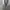Russell Athletic Vintage Y2K Hoody Pria gray photo 4