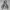 Russell Athletic Vintage Y2K Hoody Pria gray photo 2