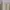 Evening dress Wanita tan cream photo 2