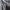 Cross Colours Vintage Streetwear Casual pants Pria blue photo 7