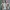 Eider Gorpcore Biker Track jacket Wanita green khaki photo 3