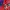 Nike Casual Track jacket Pria red blue photo 4