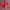 Nike Casual Track jacket Pria red blue photo 1