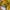 Columbia Gorpcore Sportswear Track jacket Pria yellow photo 5
