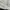Adidas Streetwear Casual Bomber jacket Pria white black photo 4