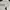 Adidas Streetwear Gorpcore Puffer jacket Pria white gray photo 1