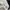 Adidas Streetwear Gorpcore Puffer jacket Pria white gray photo 4