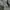 The North Face Gorpcore Emo Puffer jacket Pria white black photo 6