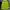 PALACE Casual Hoody Pria green photo 1