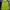 PALACE Casual Hoody Pria Green