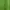 PALACE Casual Hoody Pria green photo 5