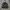 Columbia Gorpcore Track jacket Pria black gray photo 1
