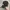 Nike Skater Sportswear Hat Pria black photo 4