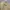 Columbia Y2K Casual Formal shirt Pria yellow photo 2