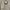 Columbia Y2K Casual Formal shirt Pria cream photo 2