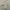 Columbia Y2K Casual Formal shirt Pria cream photo 1