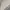 Columbia Y2K Casual Casual shirt Pria cream photo 3