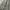 Columbia Casual Formal shirt Pria green photo 3