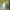 Miss Valley Casual Cami top Wanita yellow photo 4