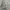 Champion Casual Formal shirt Pria gray photo 3
