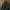 Levi's Vintage Harrington jacket Pria black photo 1