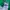 Adidas Streetwear Sportswear Track jacket Pria multicolor green photo 5