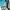 Japanese brand Streetwear Y2K Windbreaker Wanita white blue photo 6
