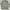 Champion Casual Hoody Pria gray photo 1