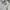 Footwear Kids white gray photo 3