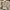 Burberry Luxury Polo shirt Pria gray photo 2