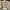Burberry Luxury Polo Shirt Pria Gray