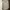 Burberry Luxury Polo shirt Pria gray photo 1