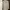 Burberry Luxury Polo Shirt Pria Gray