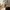 Burberry Luxury Polo shirt Pria gray photo 4