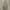 Burberry Luxury Polo shirt Pria gray photo 3