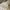 Shein Minimalist Casual Flare pants Wanita white photo 6
