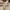Shein Minimalist Casual Flare pants Wanita white photo 4