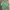 3MONGKIS Coquette Casual Shirt Wanita green photo 1