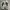 Nike Sportswear Sneakers Wanita white photo 5