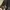 New Look Gorpcore Fairy Kimono Wanita black photo 3