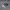 Streetwear Casual Sneakers Pria white black photo 1