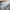 Russell Athletic Vintage Y2K Hoody Pria gray photo 5