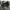 Nike Sportswear Minimalist Windbreaker Pria gray photo 3