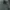 Japanese brand Vintage Harrington jacket Pria gray photo 2