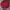 The North Face Vintage Casual Polo shirt Pria red photo 1